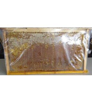 Çiçek Petek bal 2,5 kg